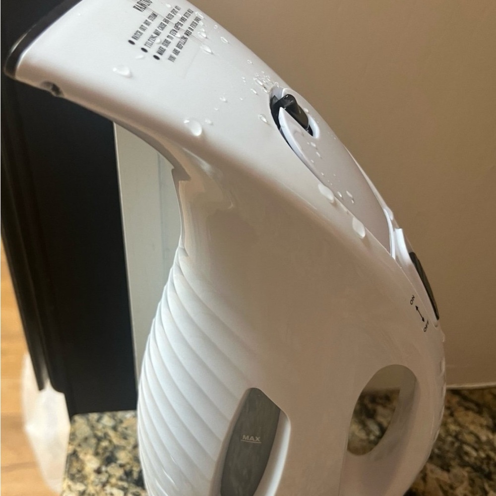 White Handheld Garment Steamer